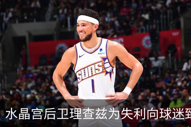 水晶宫后卫理查兹为失利向球迷致歉